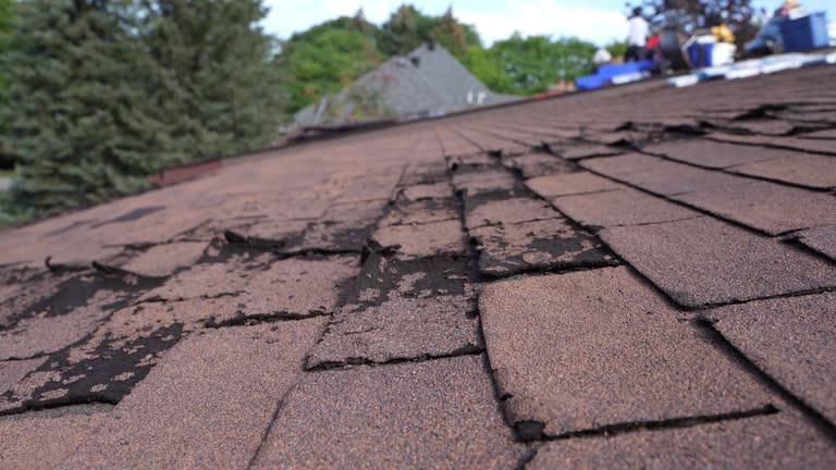 Best Roof Leak Repair  in Shell Valley, ND